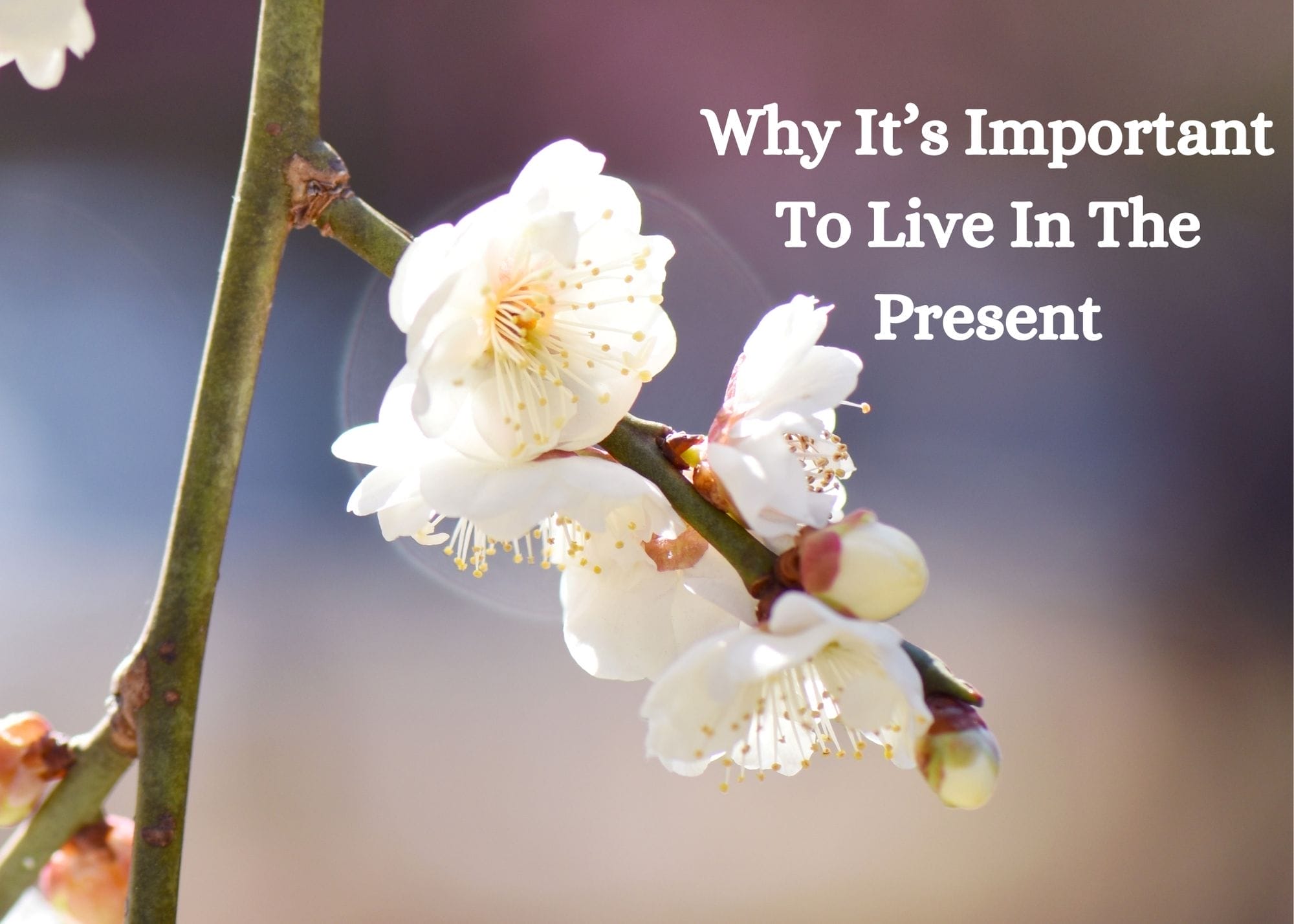 present