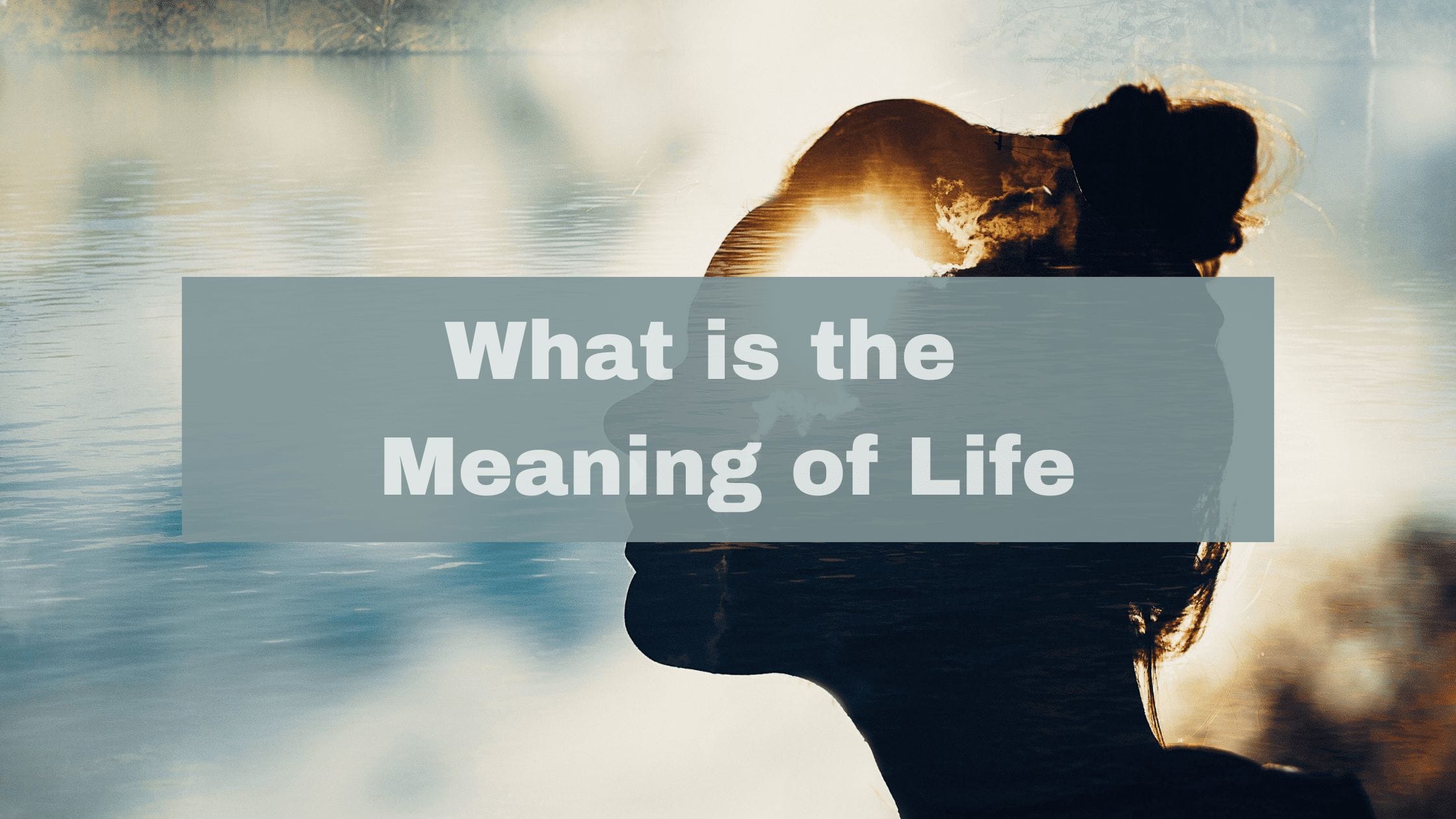 meaning of life