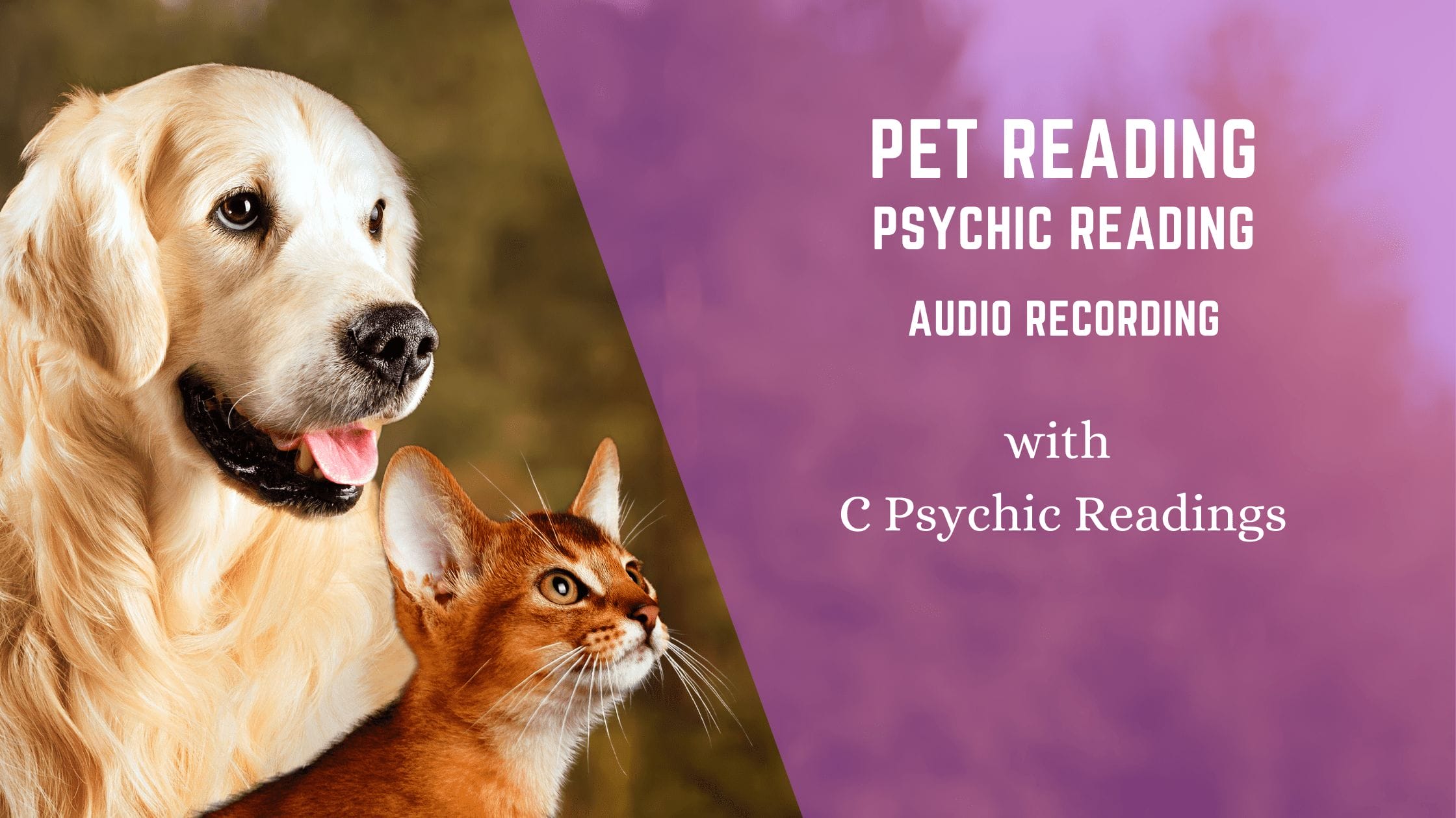 pet reading