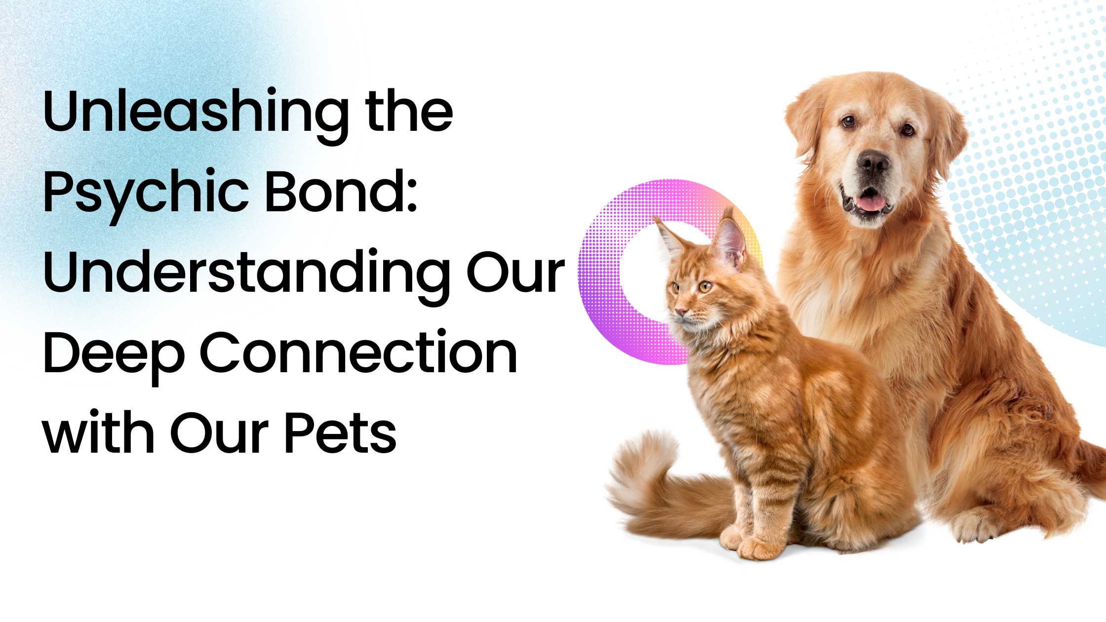 animal psychic readings